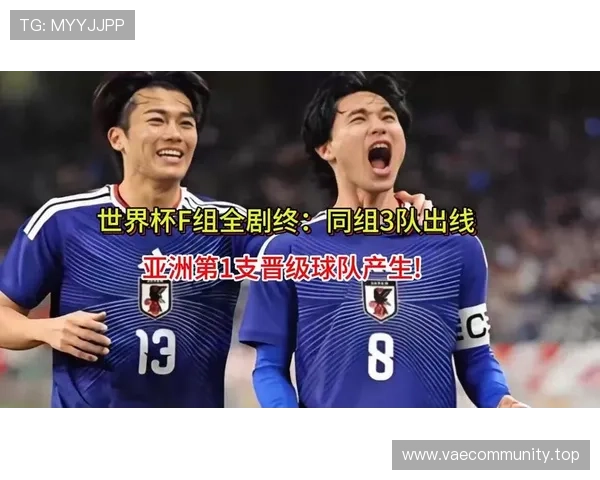 世界杯F组小组赛总结:三队晋级一队出局 世界杯F组小组赛总结:三队晋级一队出局
